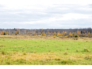 Property photo 33 - REAL ESTATE AUCTION - 1,428+/- ACRES OFFERED IN 10 TRACTS IN PRICE CO., WI